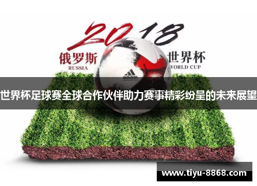 世界杯足球赛全球合作伙伴助力赛事精彩纷呈的未来展望