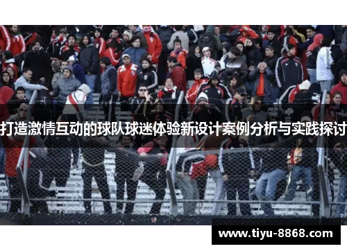 打造激情互动的球队球迷体验新设计案例分析与实践探讨
