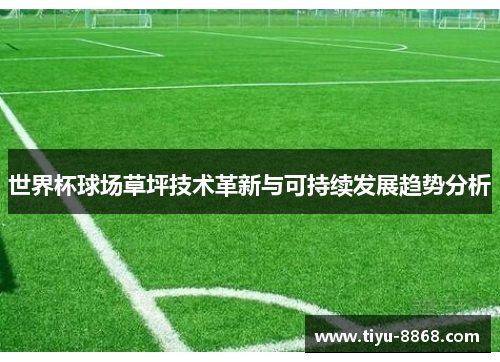 世界杯球场草坪技术革新与可持续发展趋势分析
