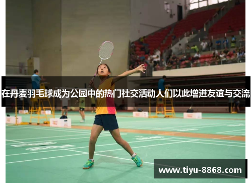 在丹麦羽毛球成为公园中的热门社交活动人们以此增进友谊与交流